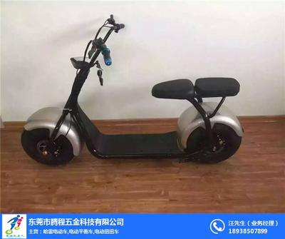 河池哈雷電動車批發(fā)_騰程五金科技_哈雷電動車